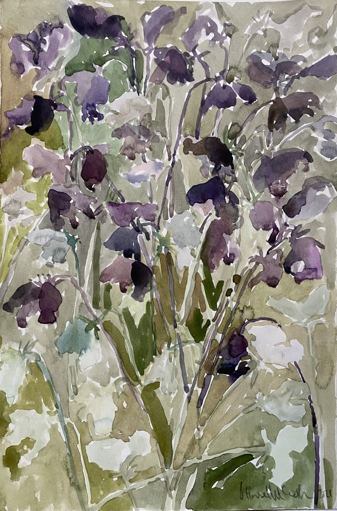 Sweetpeas, 2021