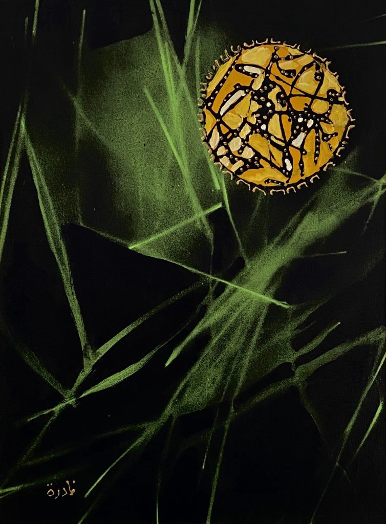 The northern lights, 2010